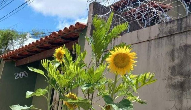 Brasileirinho Pousada e Refeições