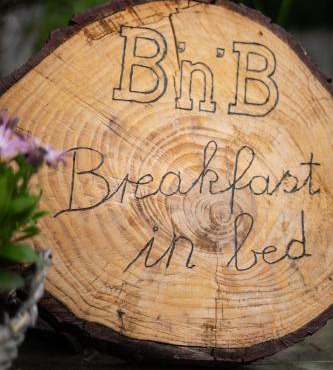 Breakfast in bed