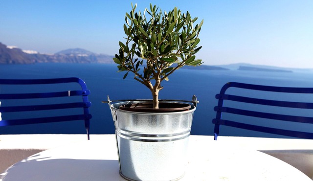 Breathtaking Caldera View, Great Comfort, Romantic And Fully Revamped.