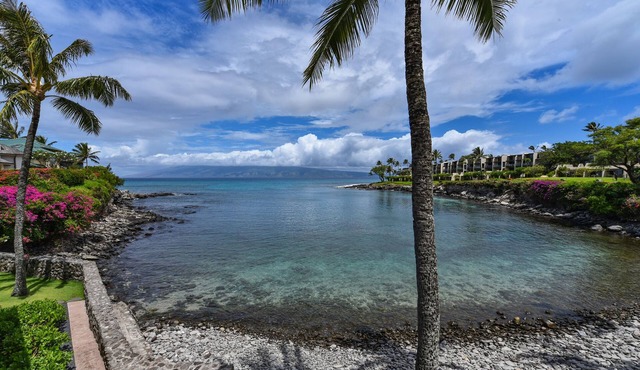 Breathtaking Cove Front Beauty in Napili