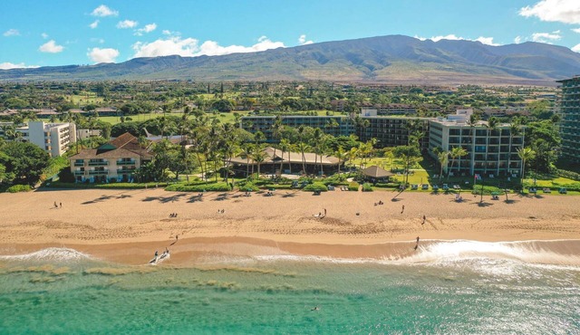 Breathtaking Oceanfront Views! 4 Units, Minutes to Pacific Whale Foundation