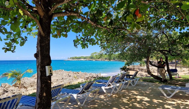 Breathtaking Oceanview Condo Private Beach & Pool with Maid Service