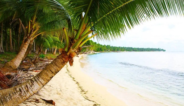 Breathtaking Siargao Island Villa for Groups: Ocean Views & B'Fast Incl.