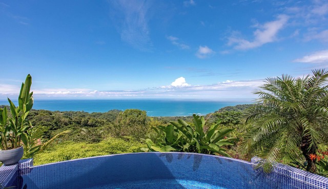Breathtaking views on the pacific ocean - inifnity edge pool