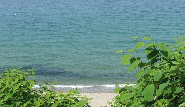 Breathtaking views of Cape Cod Bay/PTown, High on Manomet Bluffs