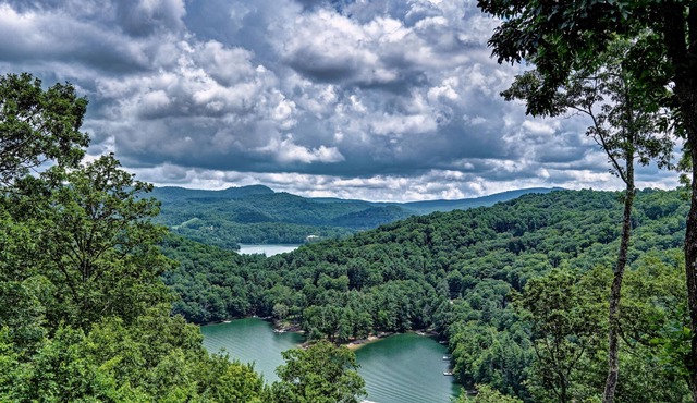 Breathtaking views,screened deck fireplace,exquisite kitchen,Big green egg & gas grill