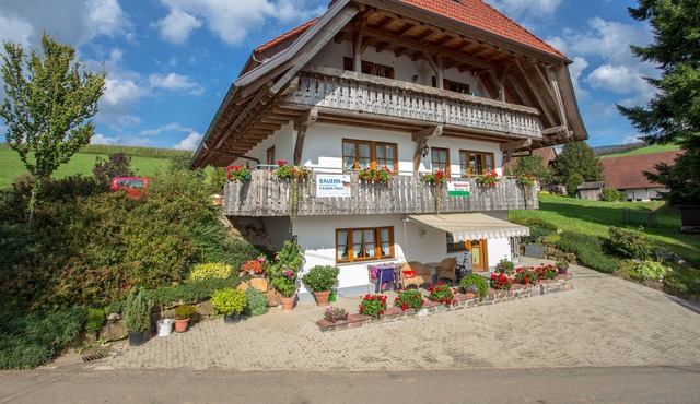 Breigenhof - Apartment Leibgeding 100sqm - sunny location
