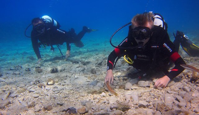 BRELA Bikini Dive *Try SCUBA DIVING*
