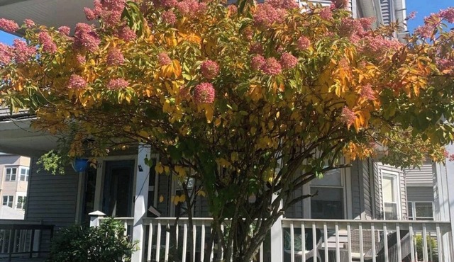 Bright and cozy 3 bedroom apartment in Chicopee with AC, WiFi. Enjoy your stay