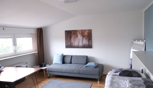 Bright and newly modernized charming vacation apartment