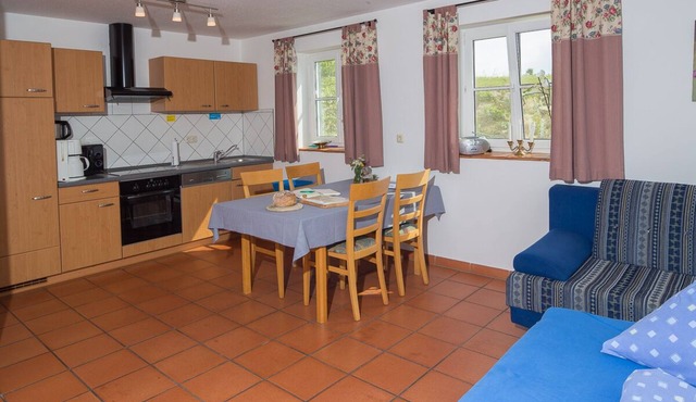 Bright and spacious apartment "Löwenzahn" with sun terrace, incl. WIRELESS INTERNET ACCESS