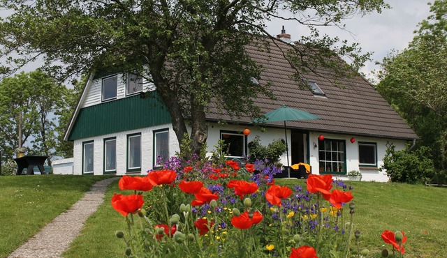 bright apartment in a secluded location with a view of nature, pets welcome