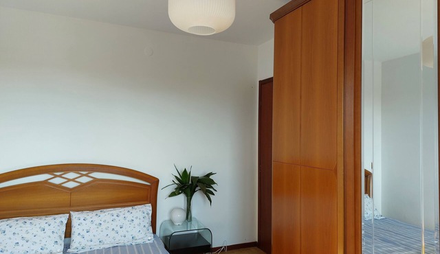Bright apartment in the center