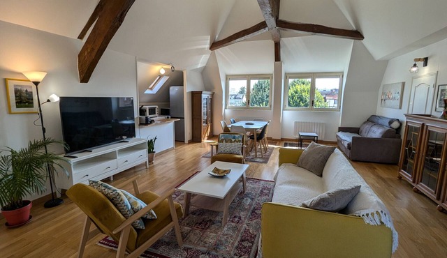Bright apartment with garden in Montargis