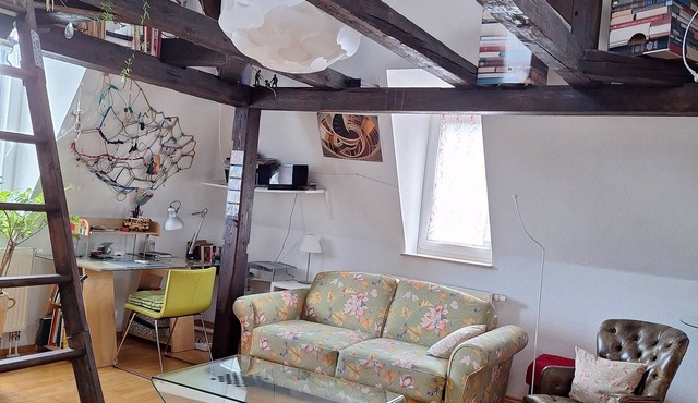 bright charming flat in a historical residential area- close to the city center