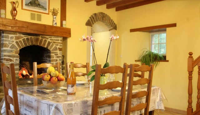 Bright countryside house with garden and fireplace