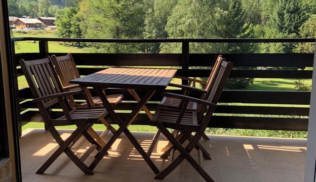 Bright, comfortable apartment with large balcony and Mont Blanc view