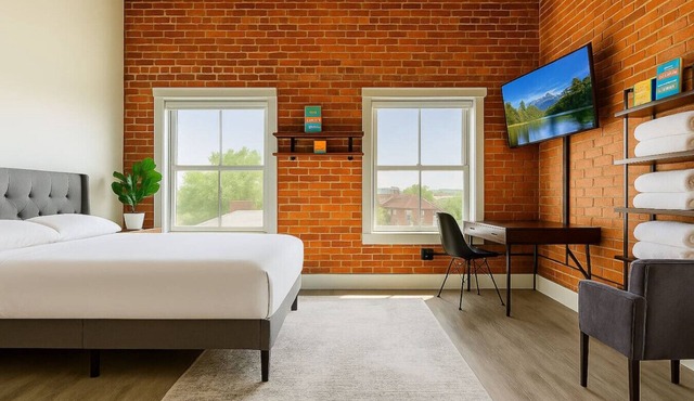Bright Downtown Studio near Yale & East Rock!