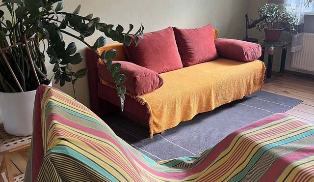 Bright individual 2-room apartment with private bathroom and balcony