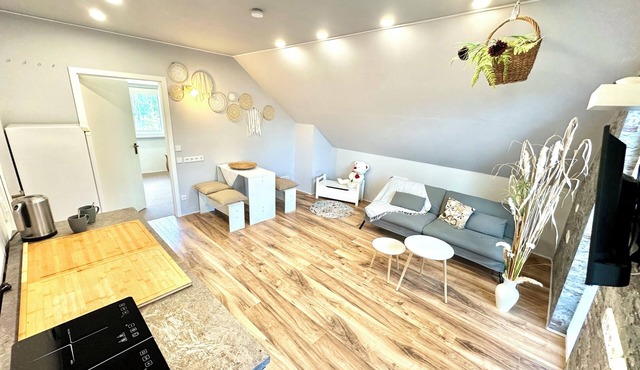 Bright, large vacation apartment with balcony & air conditioning on Langer See in Prieros