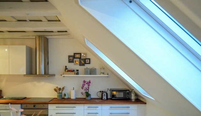Bright Loft Apartment in Frederiksberg