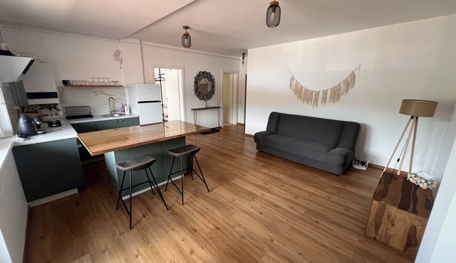 Bright Loft Apartment for the Modern Minimalist with A/C, Internet, and Parking