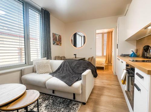 Bright Modern 1BR Quiet 20 min Center Grill