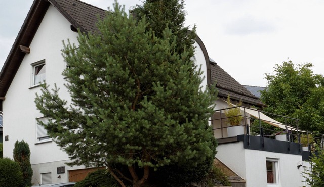 Bright, modern apartment between Nürburgring and Moselle, close to nature