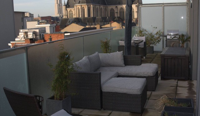 Bright penthouse with two terraces in cityheart