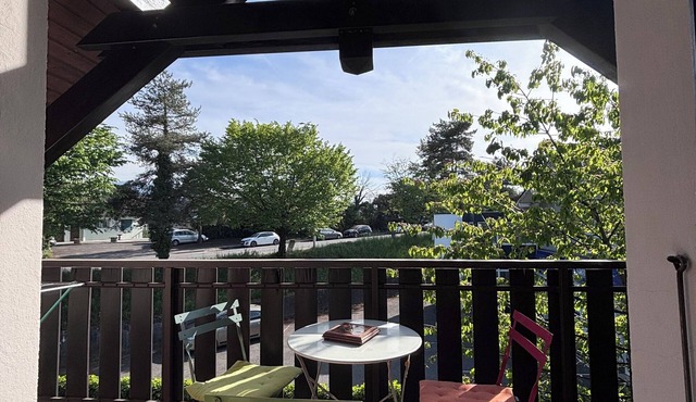 Bright, spacious apartment near Lake Geneva