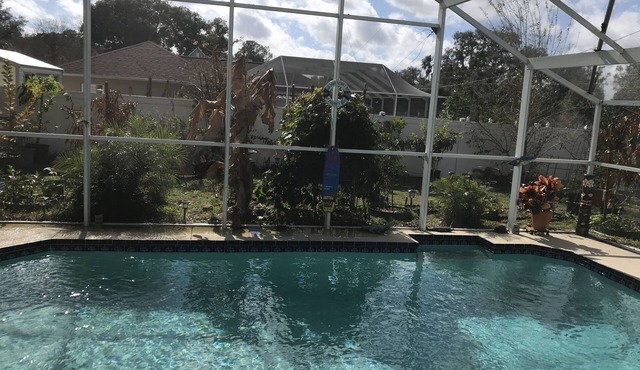 Bright & Spacious home with private saltwater pool, gardens and trampoline