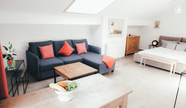 Bright Studio Apartment with Castle View