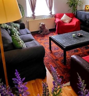 Bright studio close to Zaventem airport