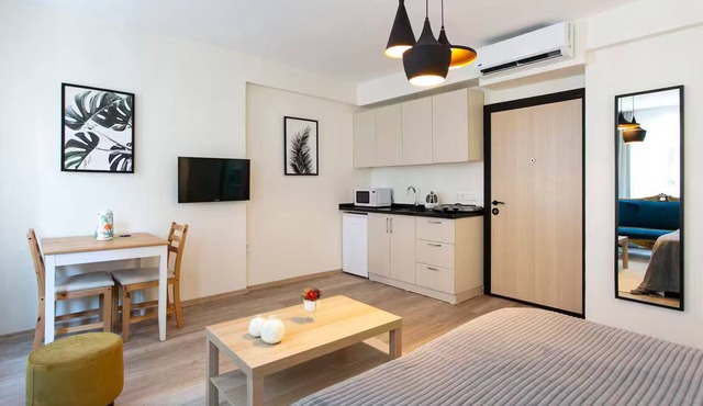 Bright Studio with Bay Window in Central Istiklal