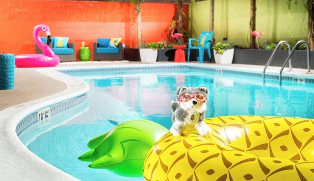 Bright Two Queen Stay, Near Burke Museum, Staypineapple, 2 Rooms