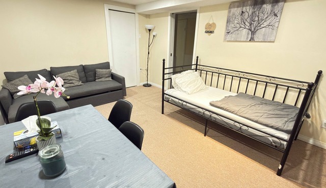 Bright1 BR suite w/free parking & wifi & Netflix & all basic amenities