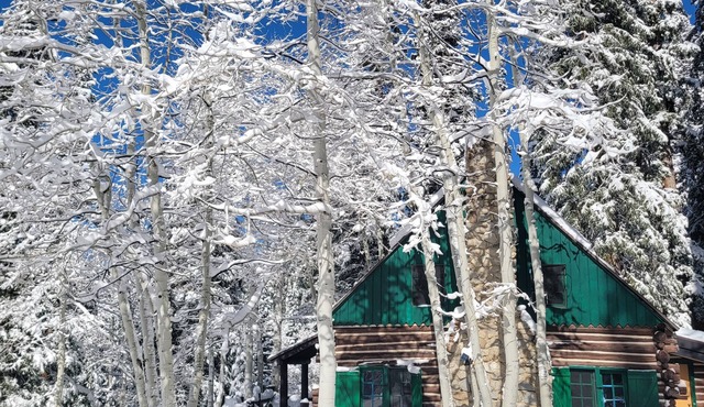 Brighton Log Cabin. Close to lifts! Free parking.