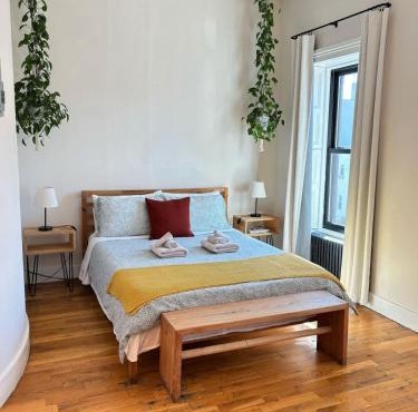 Brooklyn sun kissed studio apartment