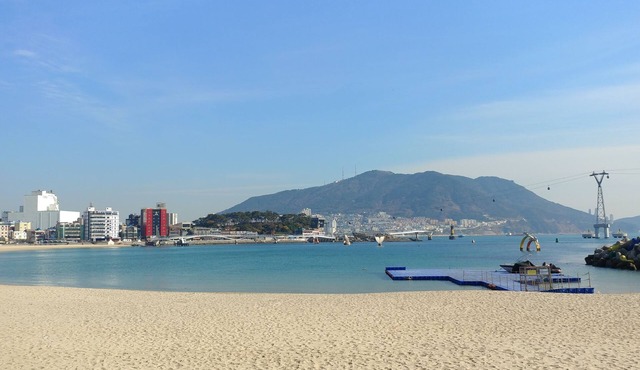 Brown-Dot Songdo