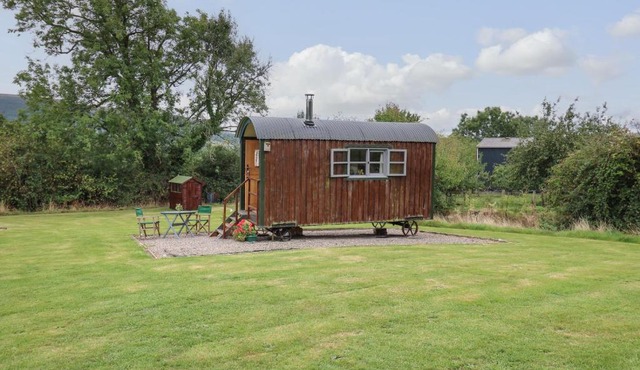 Brown Hare Shepherds Hut