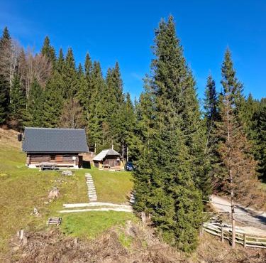 Brunarica na Goreljeku, Pokljuka