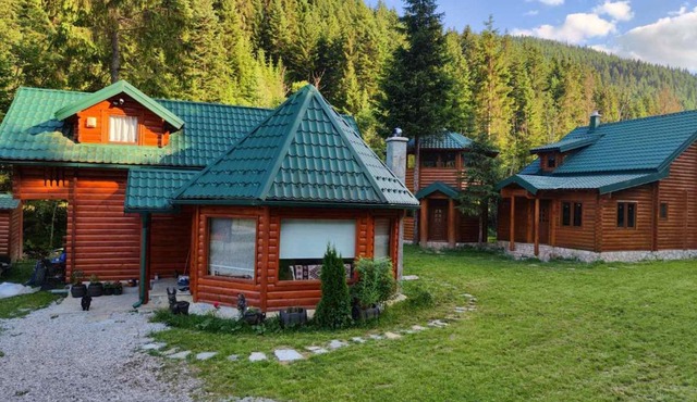 Brvnara Ibar