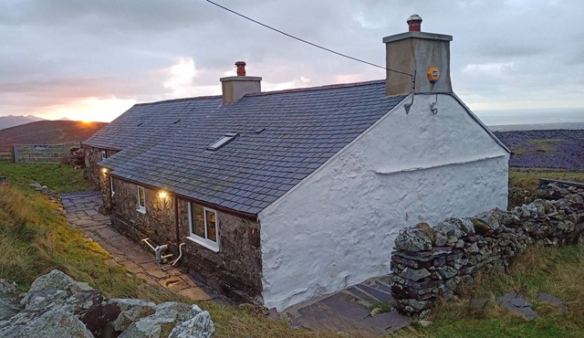 Bryn Derwen