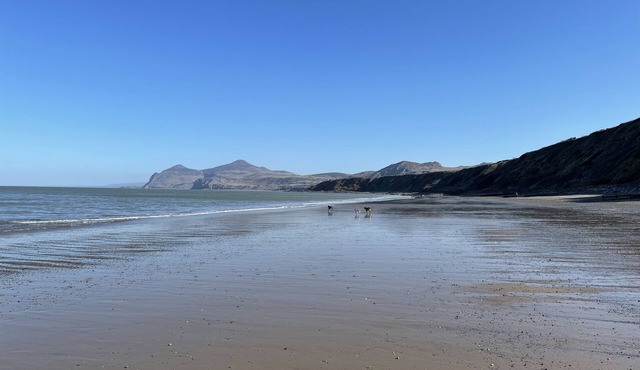 Bryn Noddfa