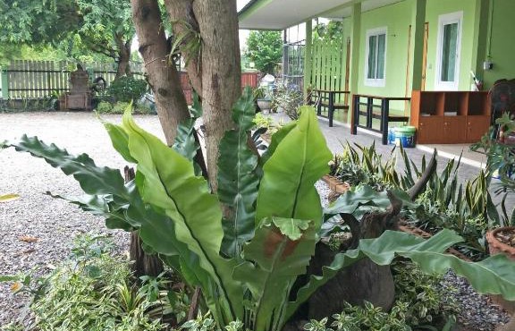Bu Nga Homestay