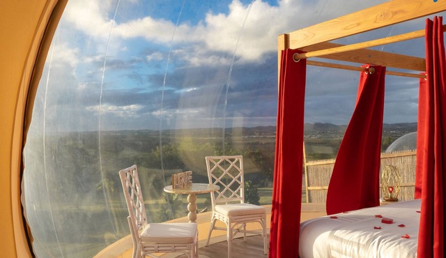 Bubble Glamping in Puerto Rico /Sleep under the stars /Full bathroom inside