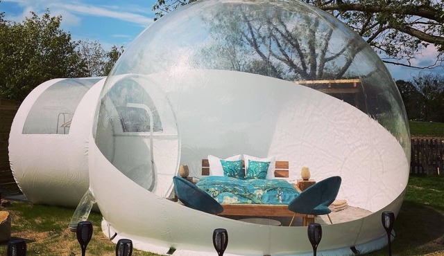 Bubble Tent Berlin: Sleeping under the stars