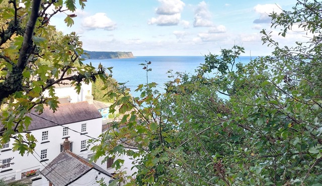 Bucks Mills, Devon coastal retreat 500m from dog-friendly beach & woodland walks