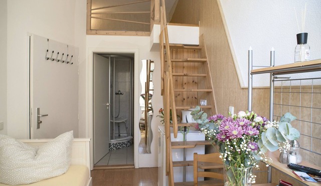 Budget single room, Ap. 13, 14 - Apartments am Schloßpark