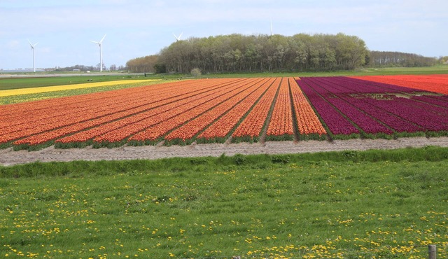 Buitenplaats 109